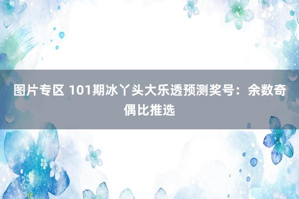 图片专区 101期冰丫头大乐透预测奖号：余数奇偶比推选