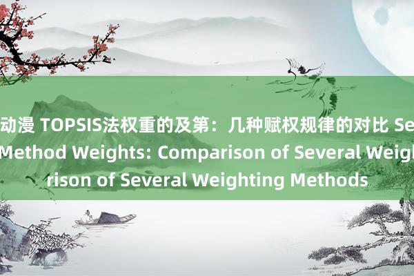 18+动漫 TOPSIS法权重的及第：几种赋权规律的对比 Selection of TOPSIS Method Weights: Comparison of Several Weighting Methods